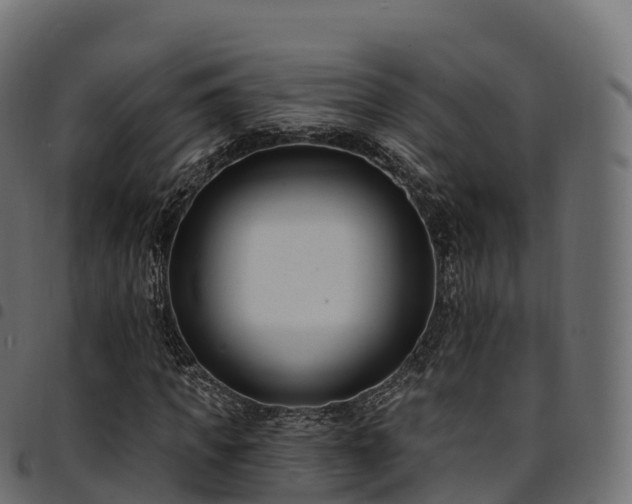 X0000094920917200711291309
