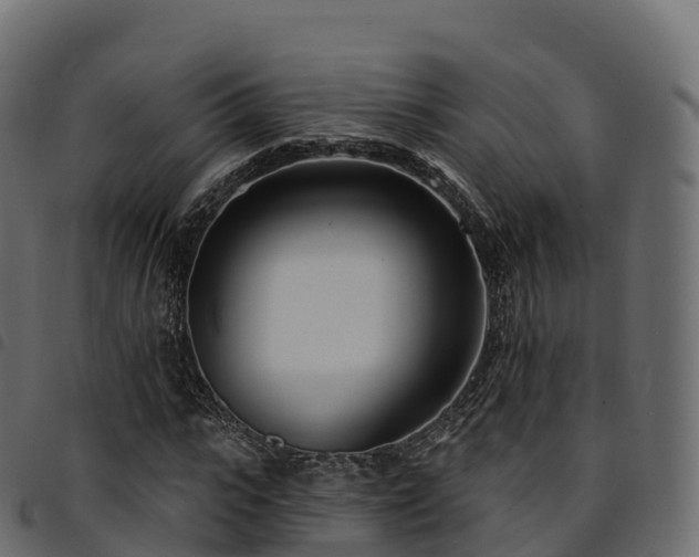 X0000094920919200711291309