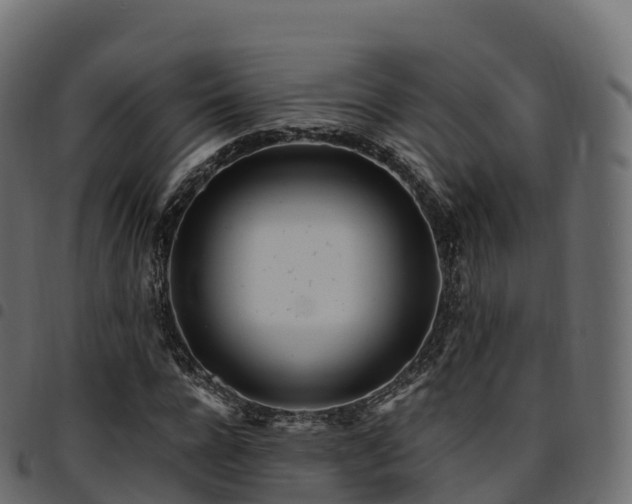 X0000094920920200711291309