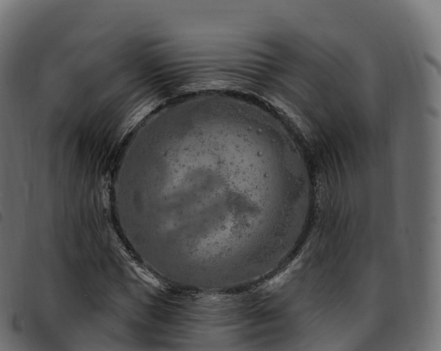 X0000094920921200711291309