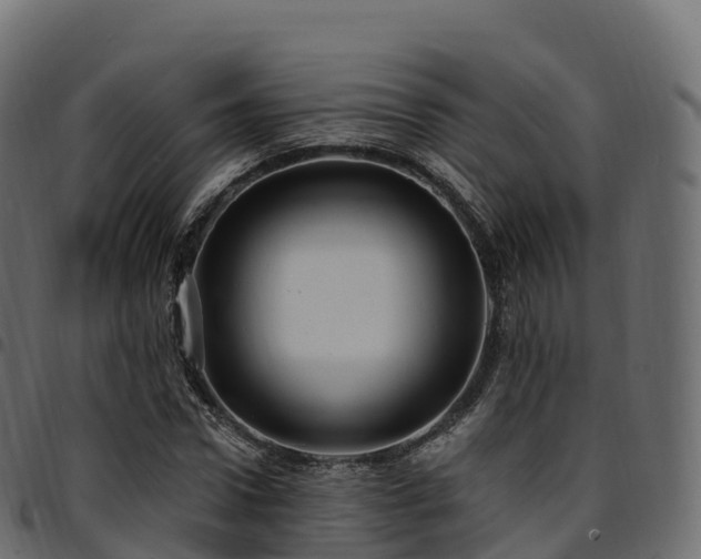 X0000094920922200711291309