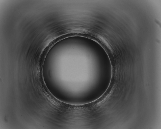 X0000094920923200711291309