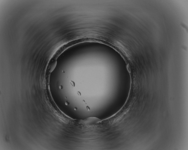 X0000094920924200711291309