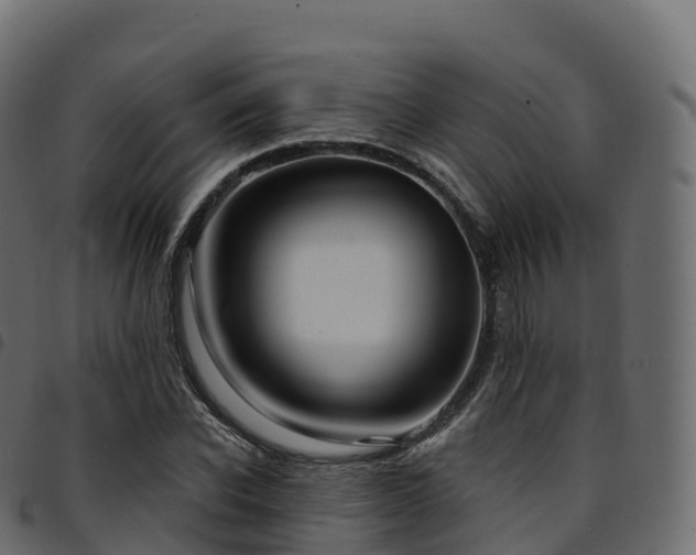 X0000094920926200711291309