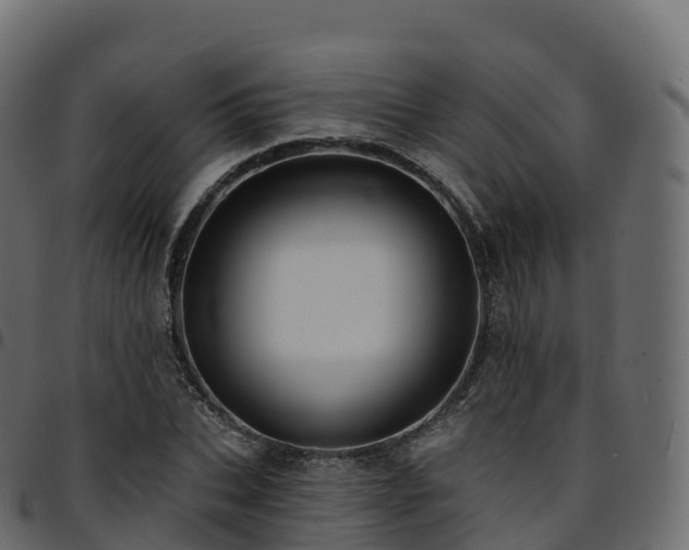 X0000094920927200711291309