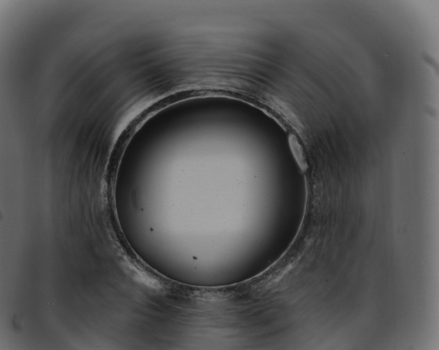 X0000094920928200711291309