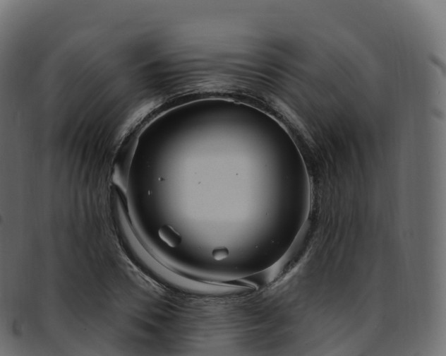 X0000094920930200711291309