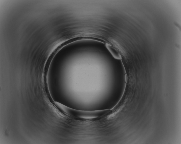 X0000094920932200711291309