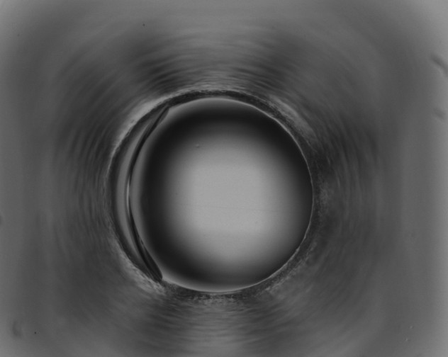 X0000094920934200711291309