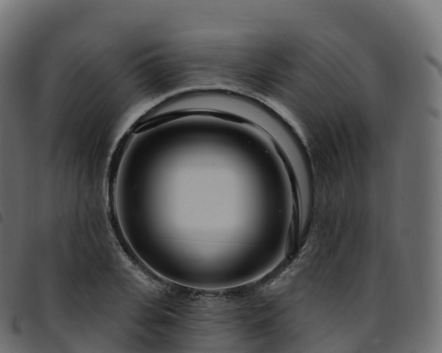 X0000094920935200711291309