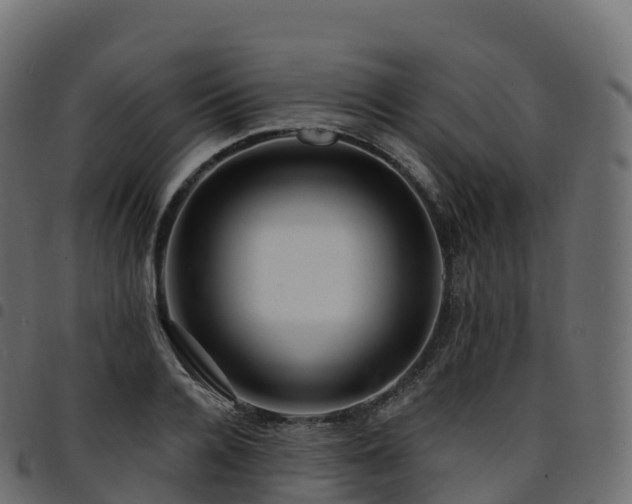 X0000094920936200711291309
