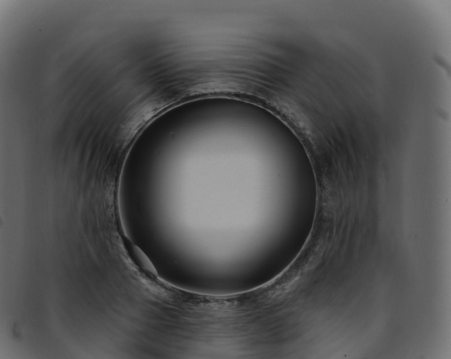X0000094920937200711291309