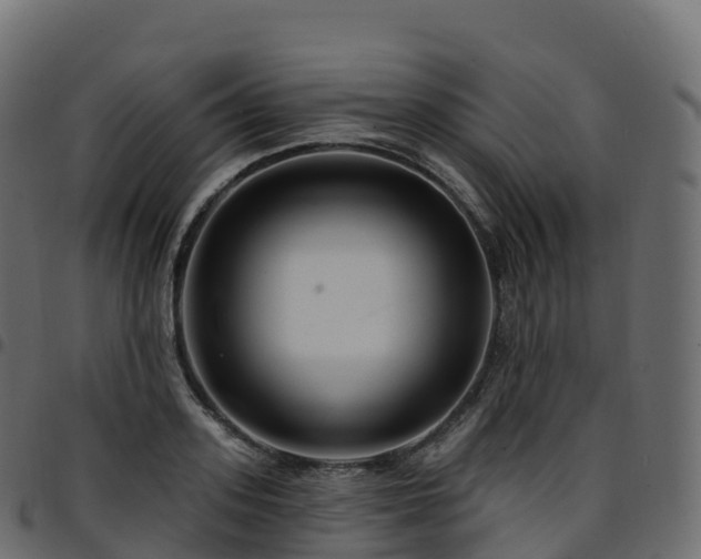 X0000094920939200711291309