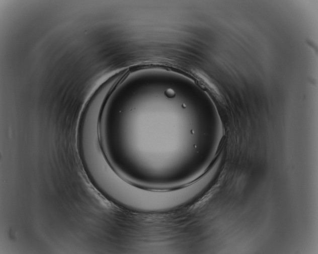 X0000094920940200711291309