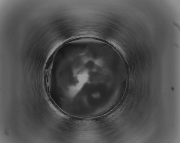 X0000094920941200711291309