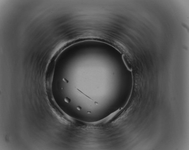 X0000094920942200711291309