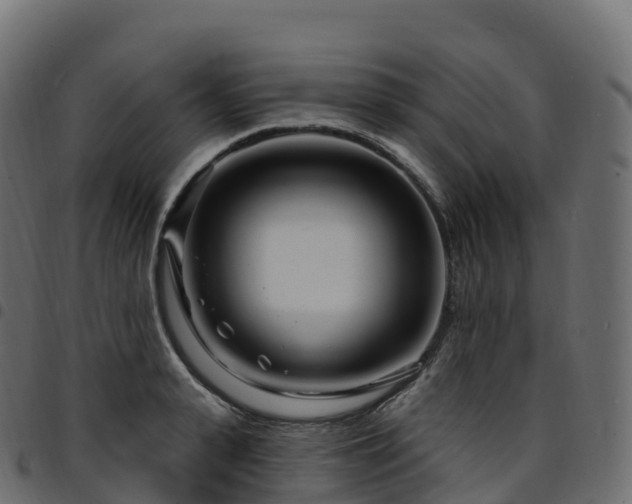 X0000094920943200711291309