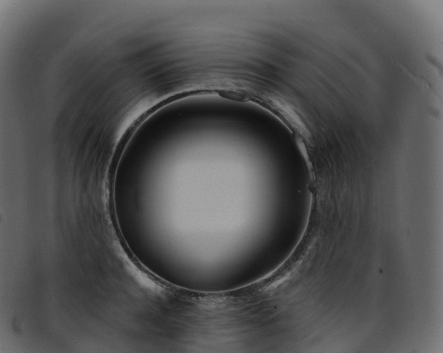 X0000094920944200711291309