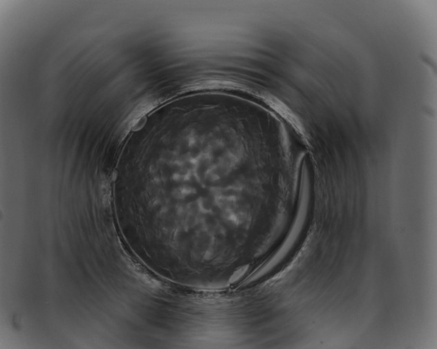 X0000094920945200711291309