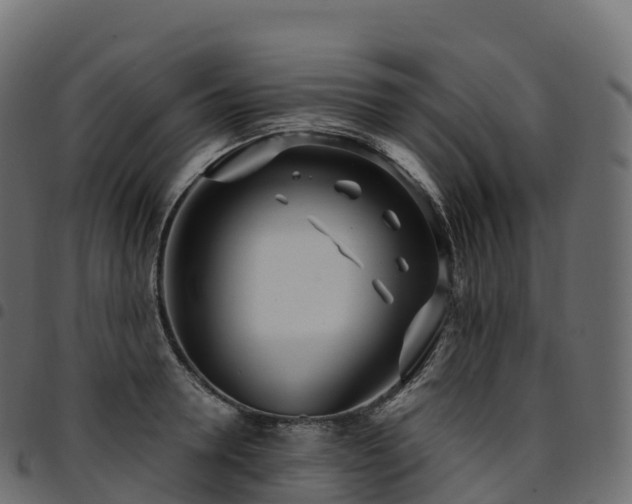 X0000094920946200711291309