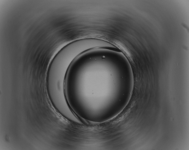 X0000094920948200711291309