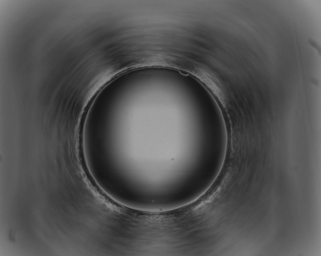 X0000094920949200711291309