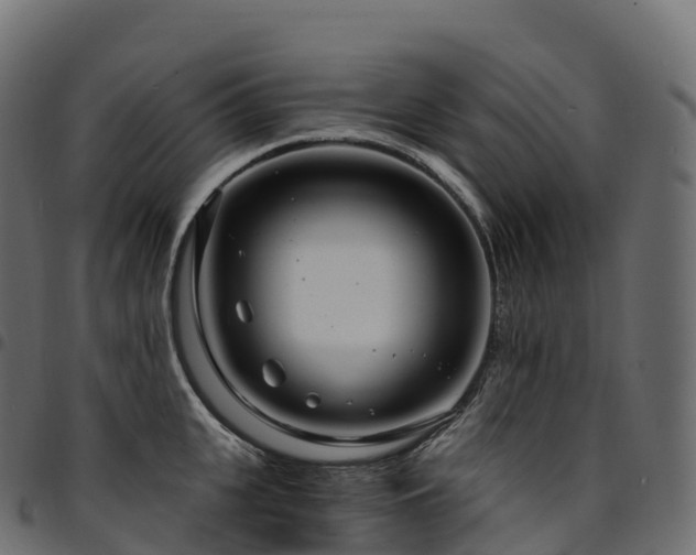 X0000094920951200711291309