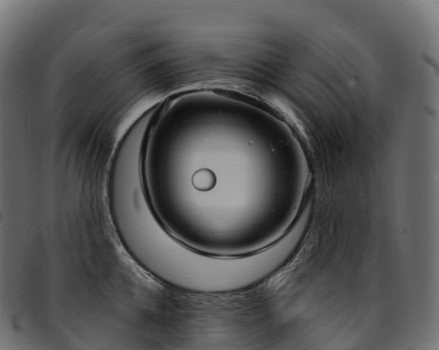 X0000094920952200711291309
