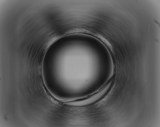 X0000094920953200711291309