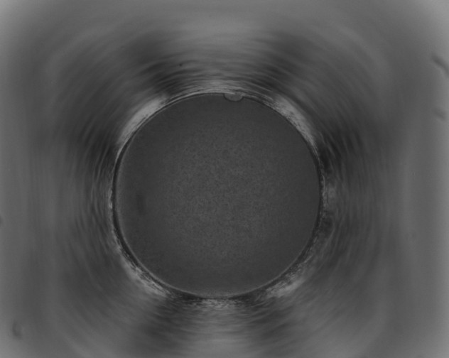 X0000094920954200711291309