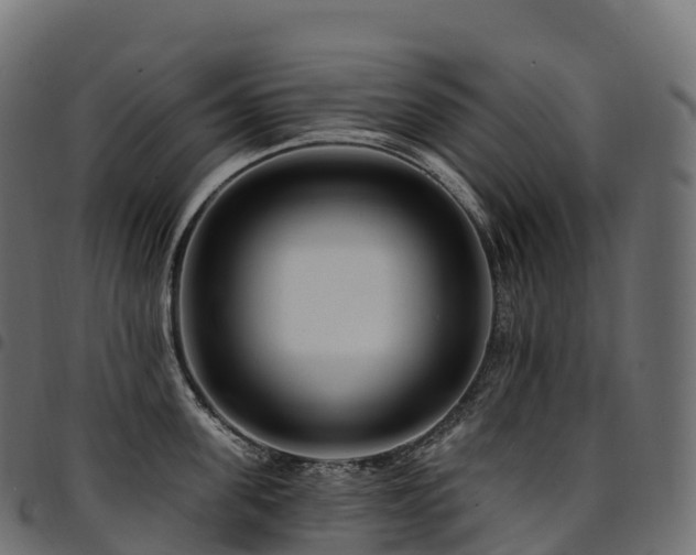 X0000094920955200711291309
