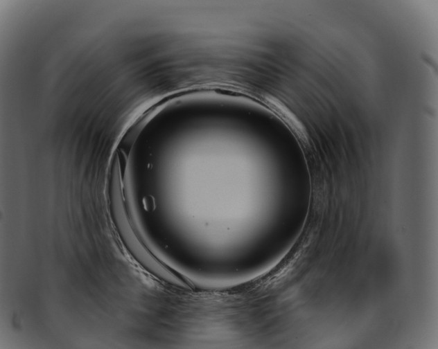 X0000094920956200711291309