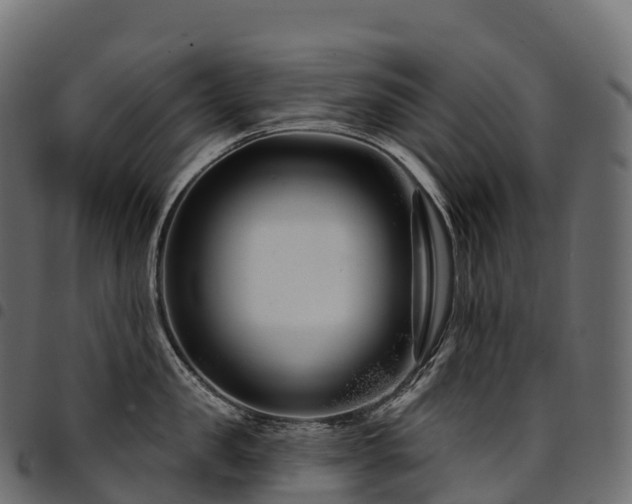 X0000094920957200711291309