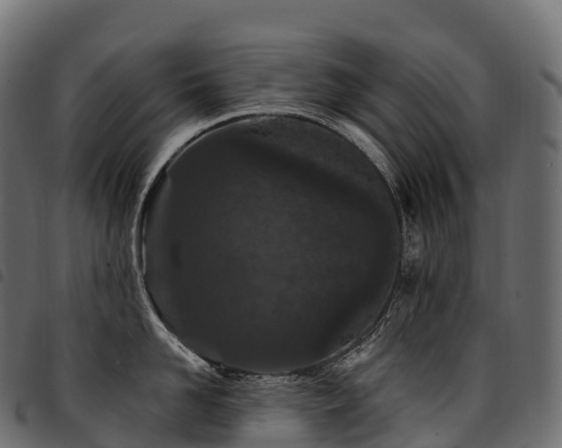X0000094920958200711291309