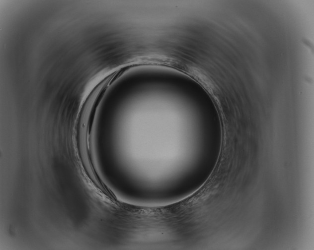 X0000094920960200711291309
