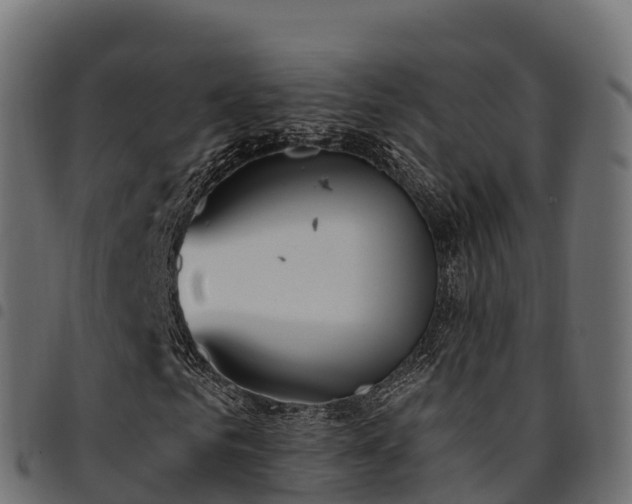 X0000094920961200711291309
