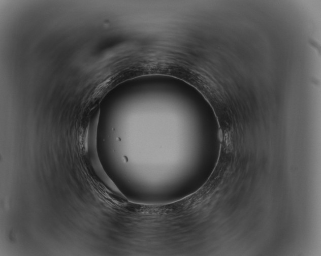 X0000094920963200711291308