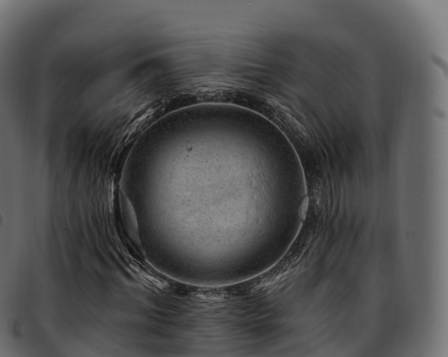 X0000094920964200711291308
