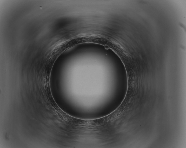 X0000094920966200711291308