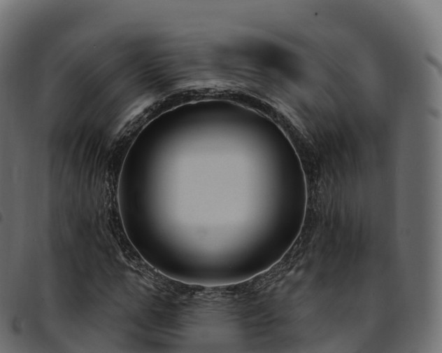 X0000094920967200711291308