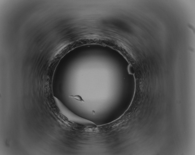 X0000094920968200711291308