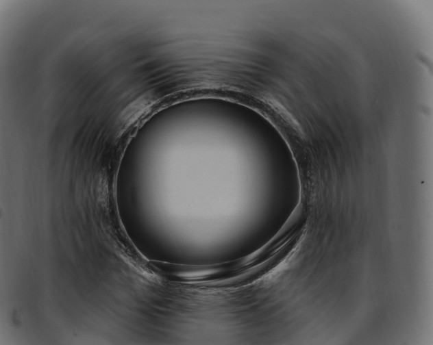 X0000094920969200711291308