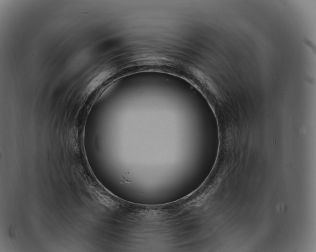 X0000094920970200711291308