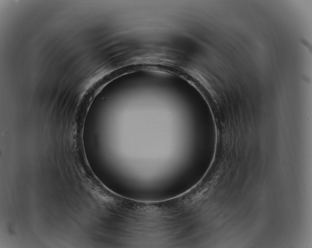 X0000094920971200711291308