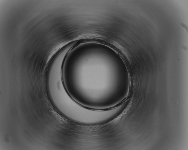 X0000094920973200711291308