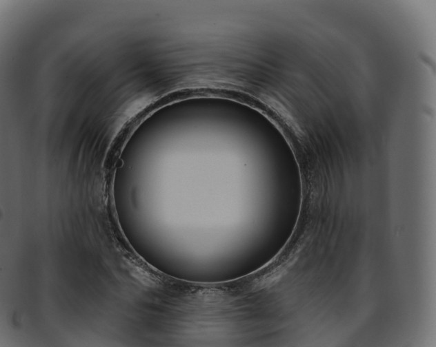X0000094920974200711291308