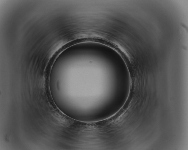 X0000094920975200711291308