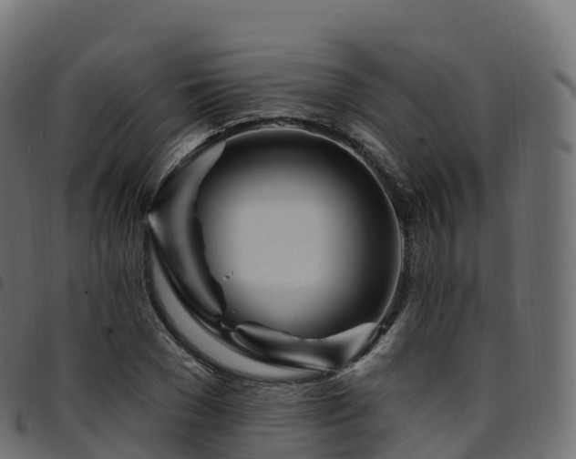 X0000094920977200711291308