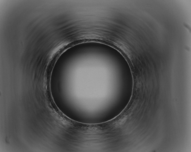 X0000094920979200711291308