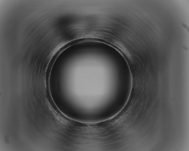 X0000094920980200711291308